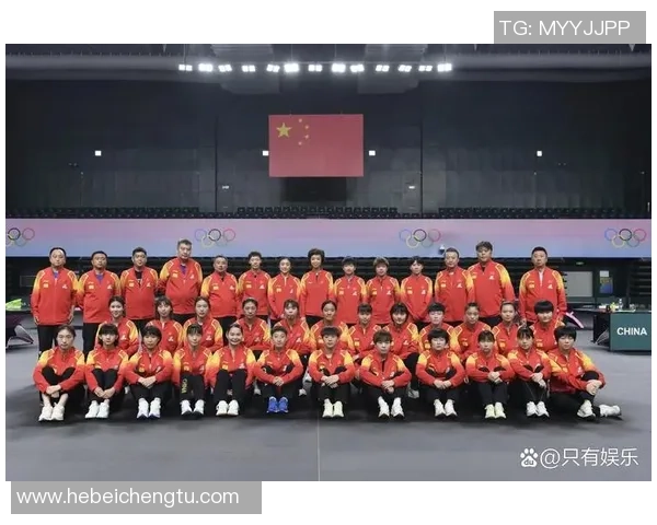 成都乒乓球队技术争议引发热议球迷与专家观点交锋分析